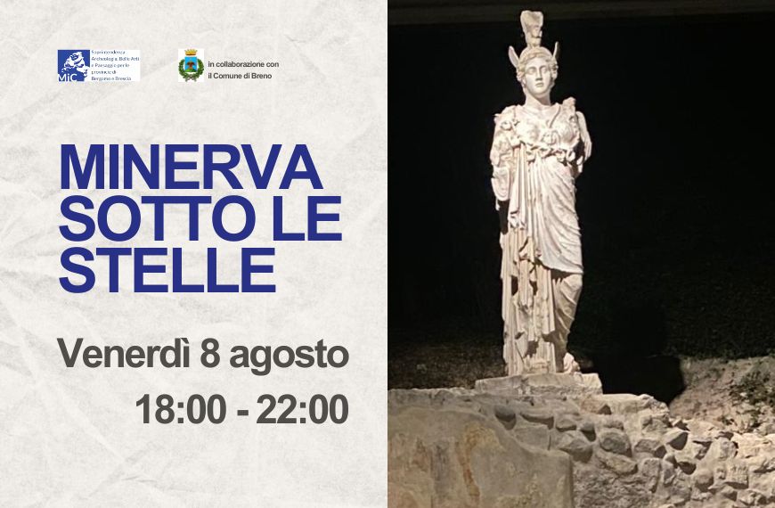 Scopri di più sull'articolo Minerva sotto le stelle